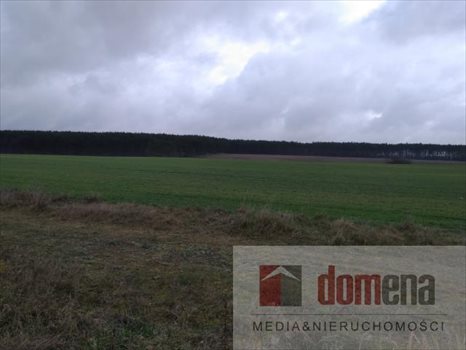 Działka budowlana na sprzedaż Kursko 822m2 Foto 9