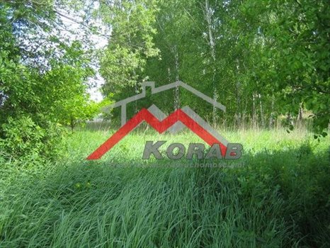 Działka budowlana na sprzedaż Kępa Kiełpińska, Gajowa 3 000m2 Foto 3
