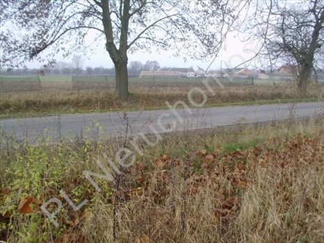 Działka budowlana na sprzedaż Józefatów 4 900m2 Foto 1