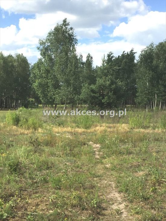 Działka budowlana na sprzedaż Ustanów 2 855m2 Foto 6