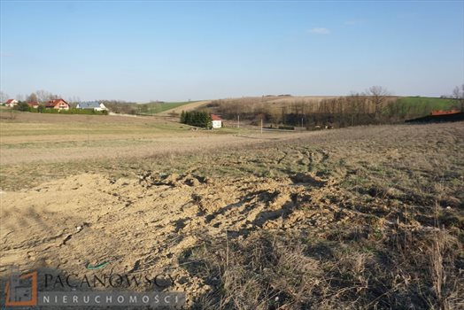 Działka budowlana na sprzedaż Młodziejowice 1 200m2 Foto 6