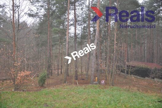 Dom na sprzedaż Wołomin 262m2 Foto 5