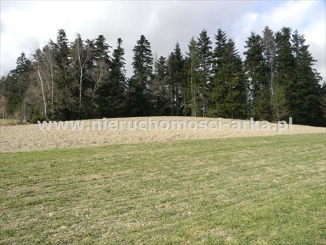 Działka inna na sprzedaż Limanowa 450m2 Foto 3