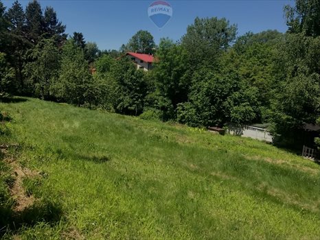 Działka budowlana na sprzedaż Bielsko-Biała, Chlebowa 1 396m2 Foto 1