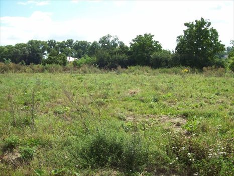 Działka inwestycyjna na sprzedaż Wrocław, Krzyki, ok. ul Opolskiej 2 000m2 Foto 1