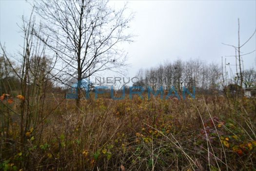 Działka budowlana na sprzedaż Pieczyska 5 700m2 Foto 4