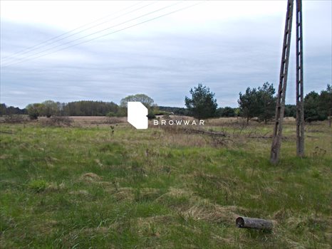 Działka budowlana na sprzedaż Silna 2 969m2 Foto 7