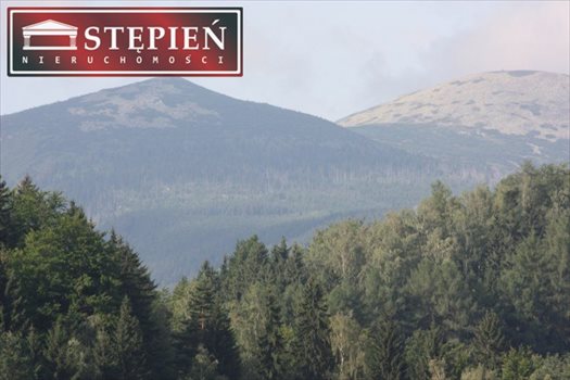 Działka inna na sprzedaż Jelenia Góra 17 625m2 Foto 12