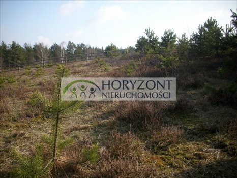 Działka budowlana na sprzedaż Gołubie 972m2 Foto 4