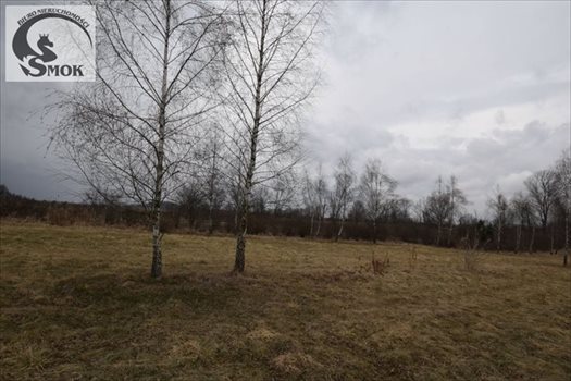 Działka budowlana na sprzedaż Łężkowice 1 496m2 Foto 2