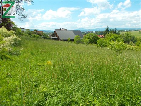 Działka budowlana na sprzedaż RABKA-ZDRÓJ 1 400m2 Foto 3