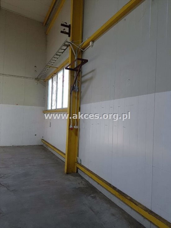 Lokal użytkowy na wynajem Tarczyn 1 168m2 Foto 6