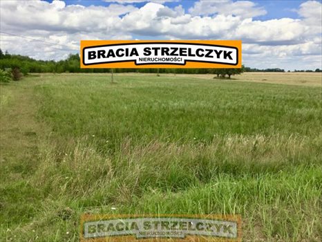 Działka rolna na sprzedaż Trzepowo 6 000m2 Foto 4