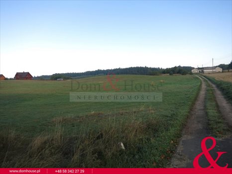 Działka budowlana na sprzedaż Nowa Wieś Przywidzka, Piastowska 3 052m2 Foto 4