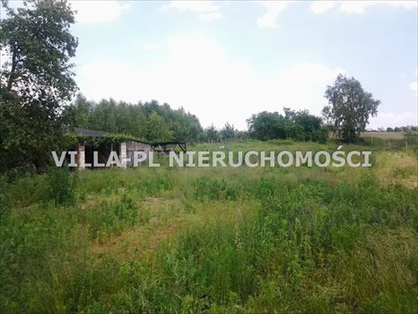 Działka rekreacyjna na sprzedaż Głowno, Osiny 3 000m2 Foto 1