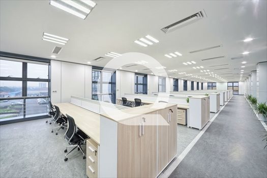 Lokal użytkowy na wynajem Gdynia, Orłowo 210m2 Foto 9