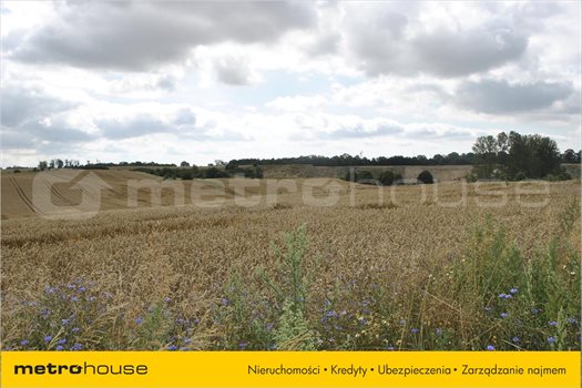 Działka inna na sprzedaż Malbork, Malbork 969m2 Foto 4