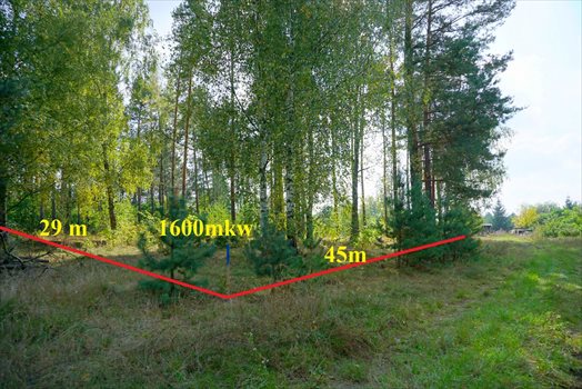 Działka budowlana na sprzedaż Musuły 1 600m2 Foto 12