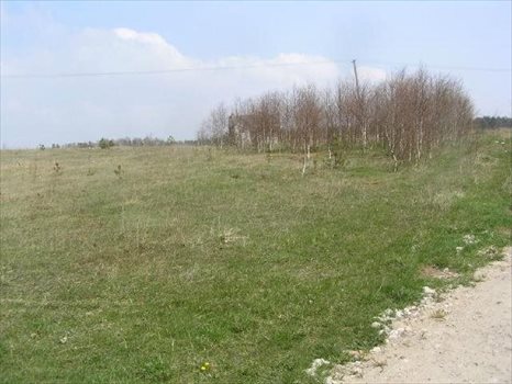 Działka inna na sprzedaż Rąb, RĄB, RĄB 51 4 900m2 Foto 5