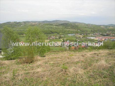 Działka budowlana na sprzedaż Limanowa 3 676m2 Foto 2