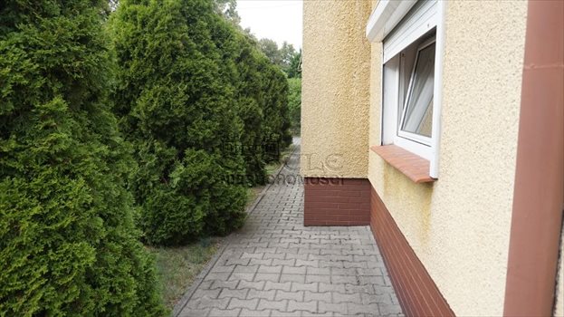 Lokal użytkowy na wynajem Poznań, Nowe Miasto, Goplańska 50m2 Foto 3