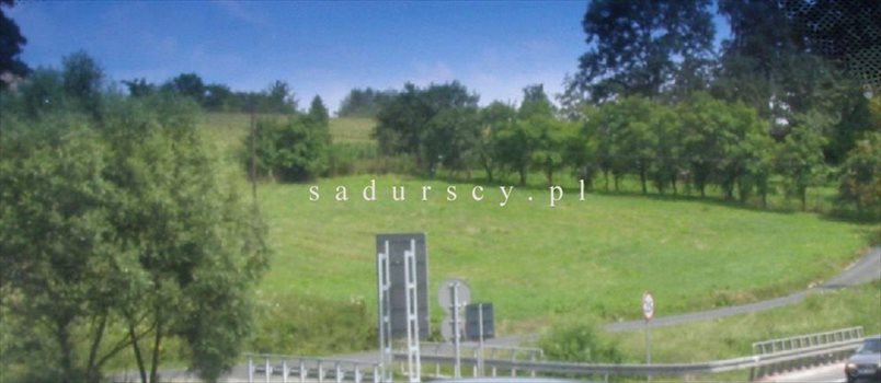 Działka inwestycyjna na sprzedaż Libertów 2 000m2 Foto 5