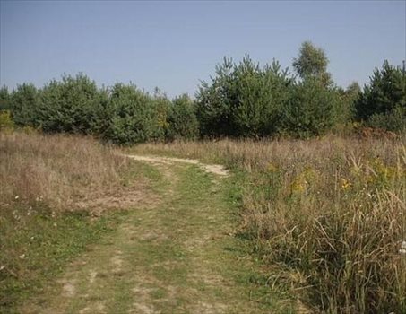 Działka budowlana na sprzedaż Poznań, Stare Miasto, Morasko, Morenowa 1 500m2 Foto 1