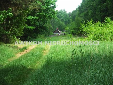 Działka inna na sprzedaż Skierniewice, Borowiny 9 000m2 Foto 6
