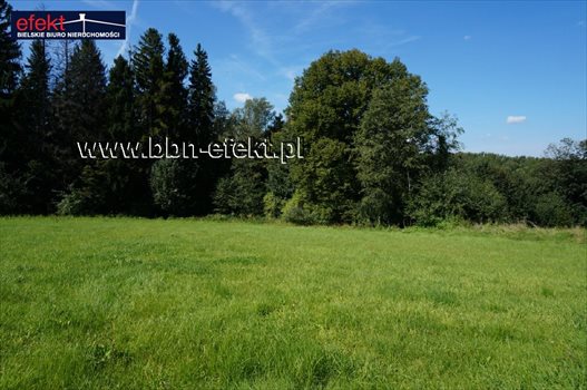 Działka budowlana na sprzedaż Świętoszówka 4 707m2 Foto 7