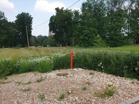 Działka rolna pod dzierżawę Chojna 2 013m2 Foto 6