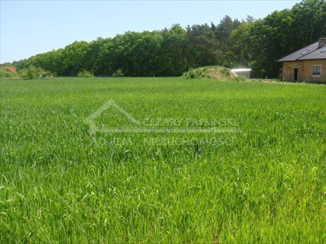 Działka budowlana na sprzedaż Majdan Mętowski, Majdan Mętowski 900m2 Foto 7