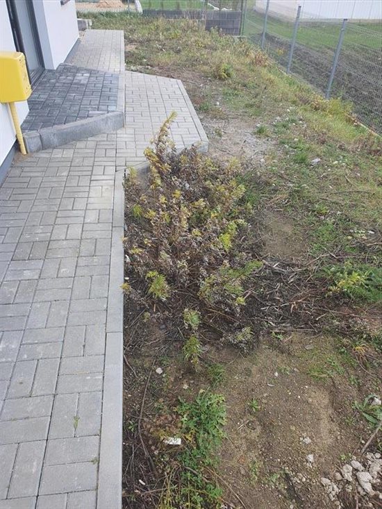 Dom na sprzedaż Łęgowo 140m2 Foto 8