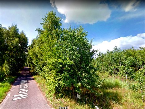 Działka rolna na sprzedaż Poznań, Morasko, Morenowa 3 510m2 Foto 1
