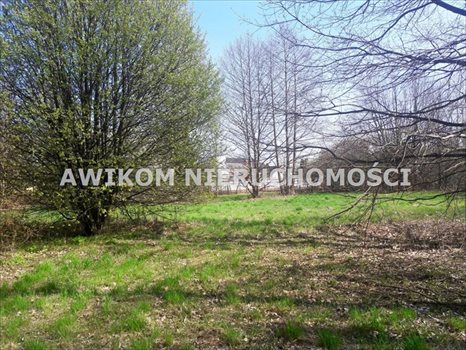 Działka budowlana na sprzedaż Jaktorów 4 500m2 Foto 2