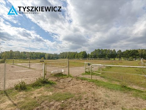 Działka inna pod dzierżawę Boroszewo 38 971m2 Foto 2
