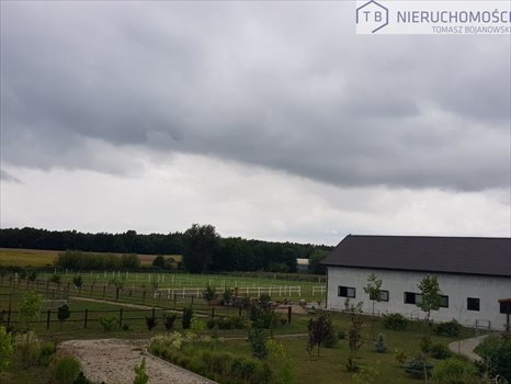 Dom na sprzedaż Szamotuły 1 500m2 Foto 4