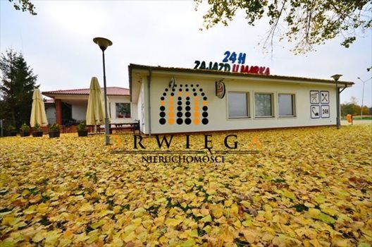 Lokal użytkowy na wynajem Trzebiszewo 750m2 Foto 2
