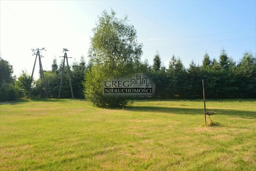 Działka inna na sprzedaż Jastrzębie-Zdrój 3 566m2 Foto 2