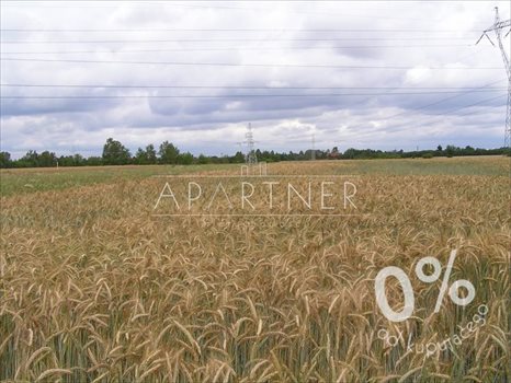 Działka rolna na sprzedaż Rzgów 8 391m2 Foto 2