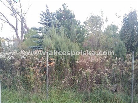 Działka budowlana pod dzierżawę Góraszka 1 000m2 Foto 5