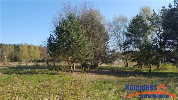Działka budowlana na sprzedaż Szczecin, Jezierzyce 3 299m2 Foto 4