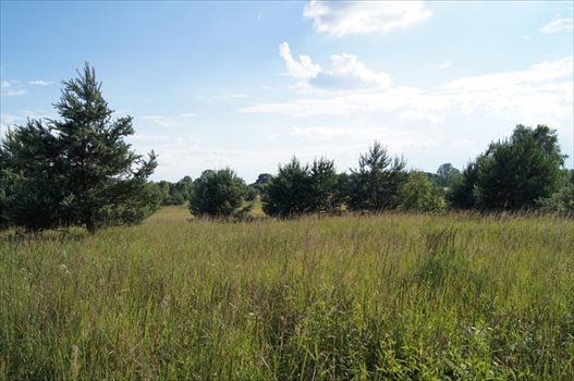 Działka budowlana na sprzedaż Ińsko 73 700m2 Foto 6