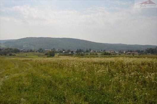 Działka budowlana na sprzedaż Ostrów 5 165m2 Foto 1