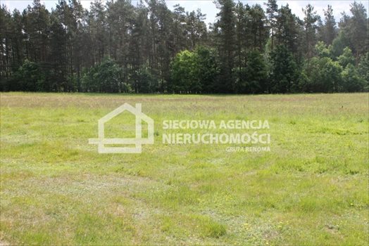 Działka budowlana na sprzedaż Lubowidz 955m2 Foto 4