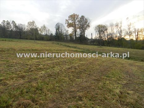 Działka inna na sprzedaż Jodłownik 6 000m2 Foto 1