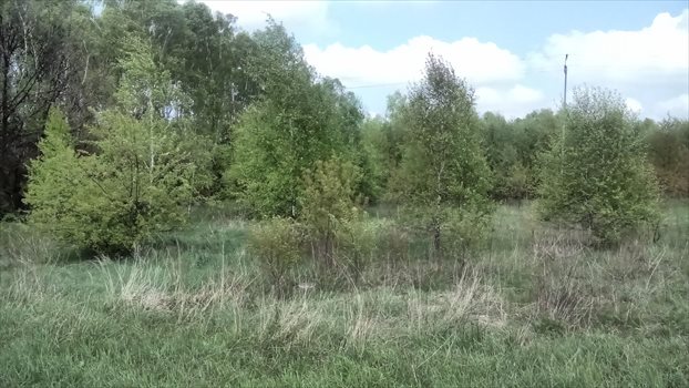 Działka rolna na sprzedaż Łódź, Widzew, Opolska 14 997m2 Foto 3