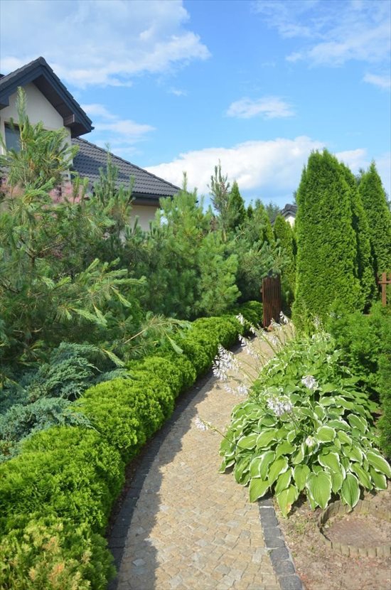 Dom na sprzedaż Łoziska, Małej Łąki 250m2 Foto 3