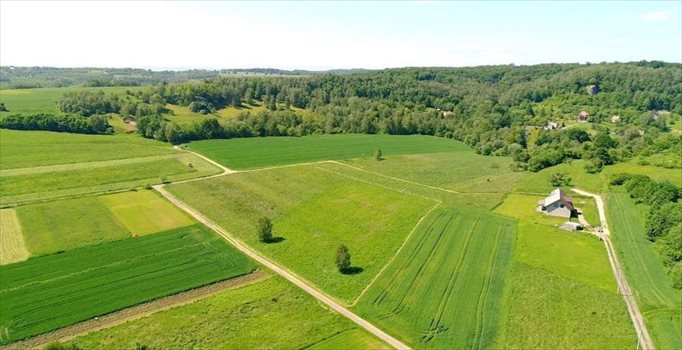 Działka budowlana na sprzedaż Nielepice 2 300m2 Foto 3