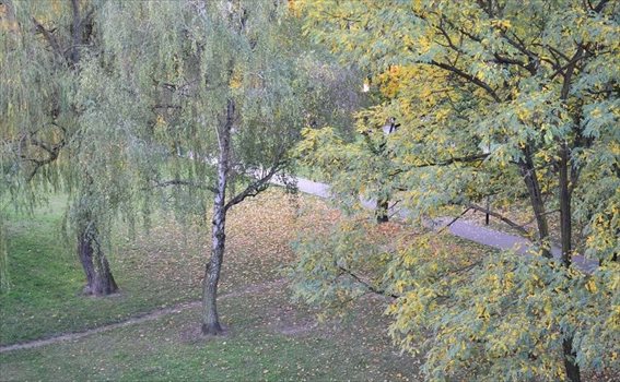Mieszkanie dwupokojowe na sprzedaż Poznań, Piątkowo, Osiedle Bolesława Chrobrego 23a 53m2 Foto 5