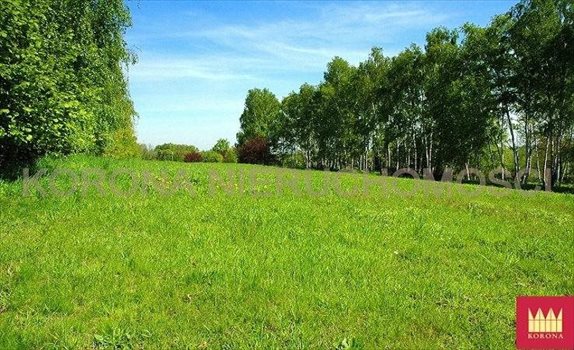 Działka komercyjna na sprzedaż Rybnik 11 783m2 Foto 10